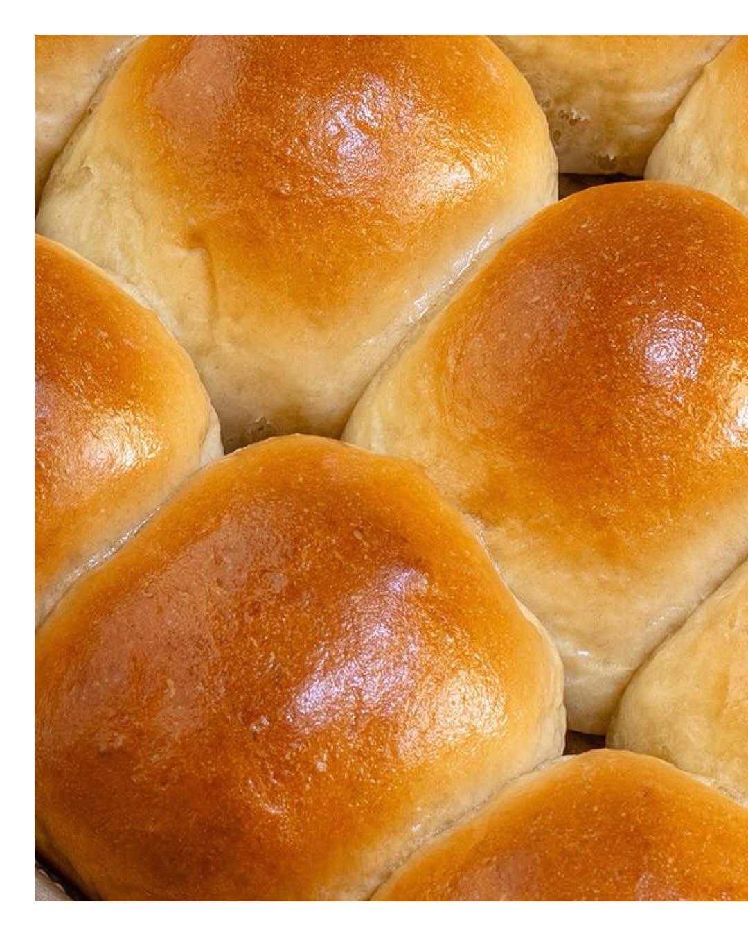 Placeholder recipe image